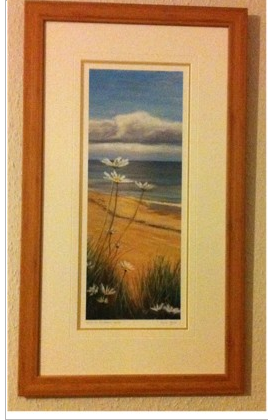 Daisies on Kingsbarns Beach